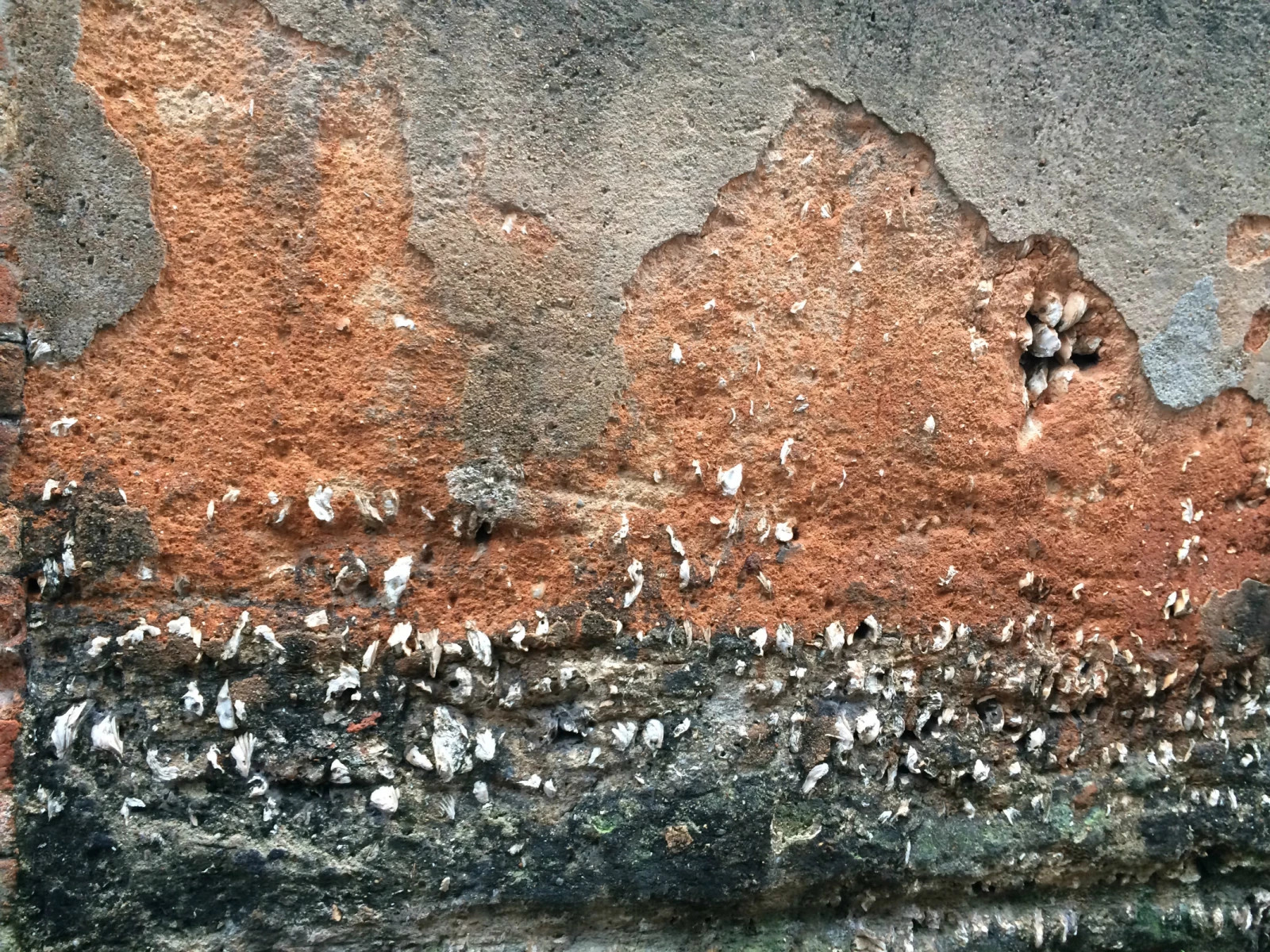 大隐隐于深山,大隐隐于市乌鲁木齐