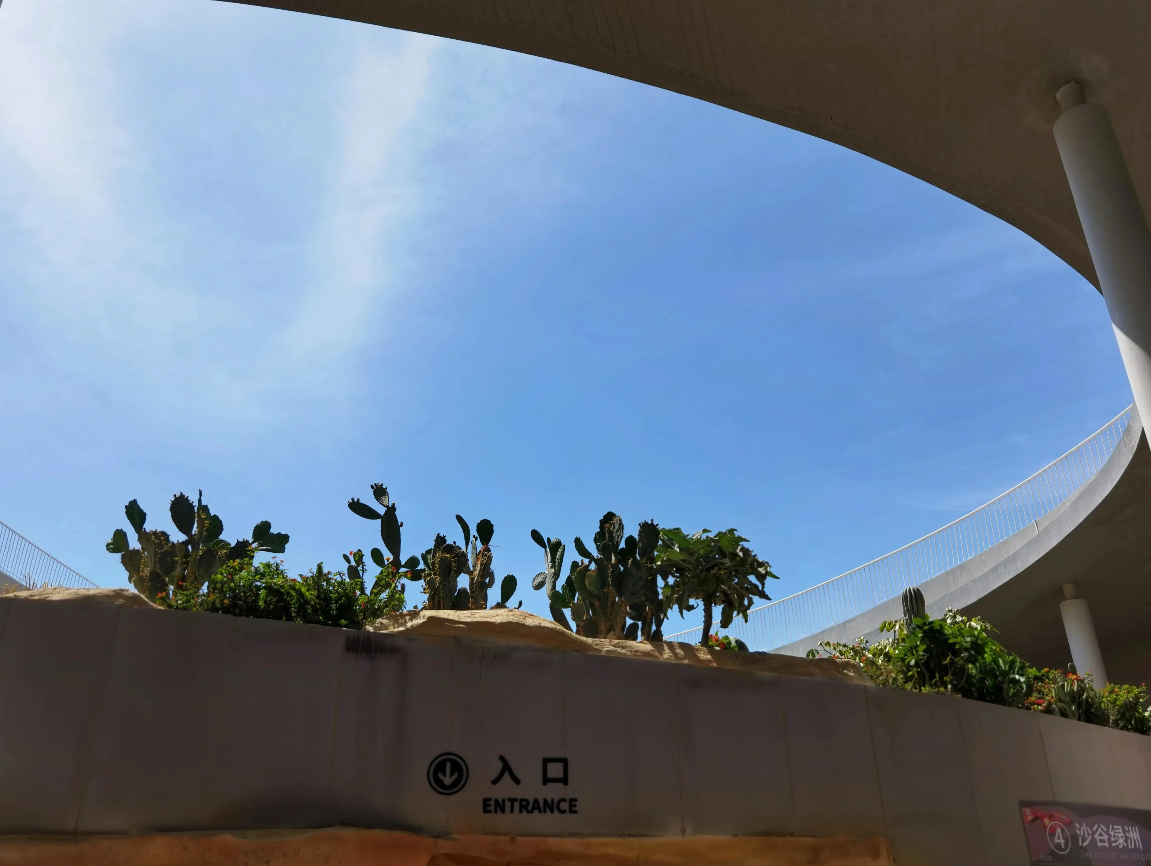 关于崇明花博会,崇明花博会全程花景