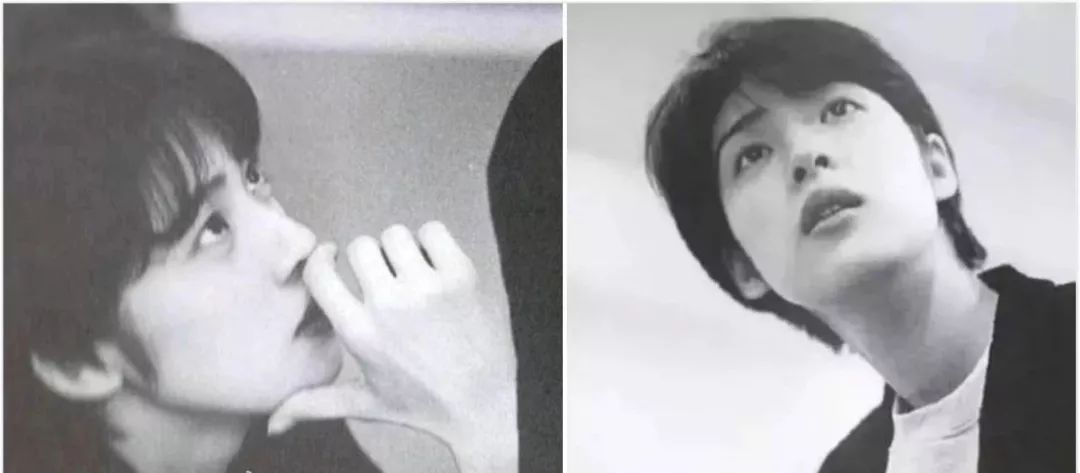 天海佑希宝冢歌剧团动漫,天海佑希宝冢歌剧团作品