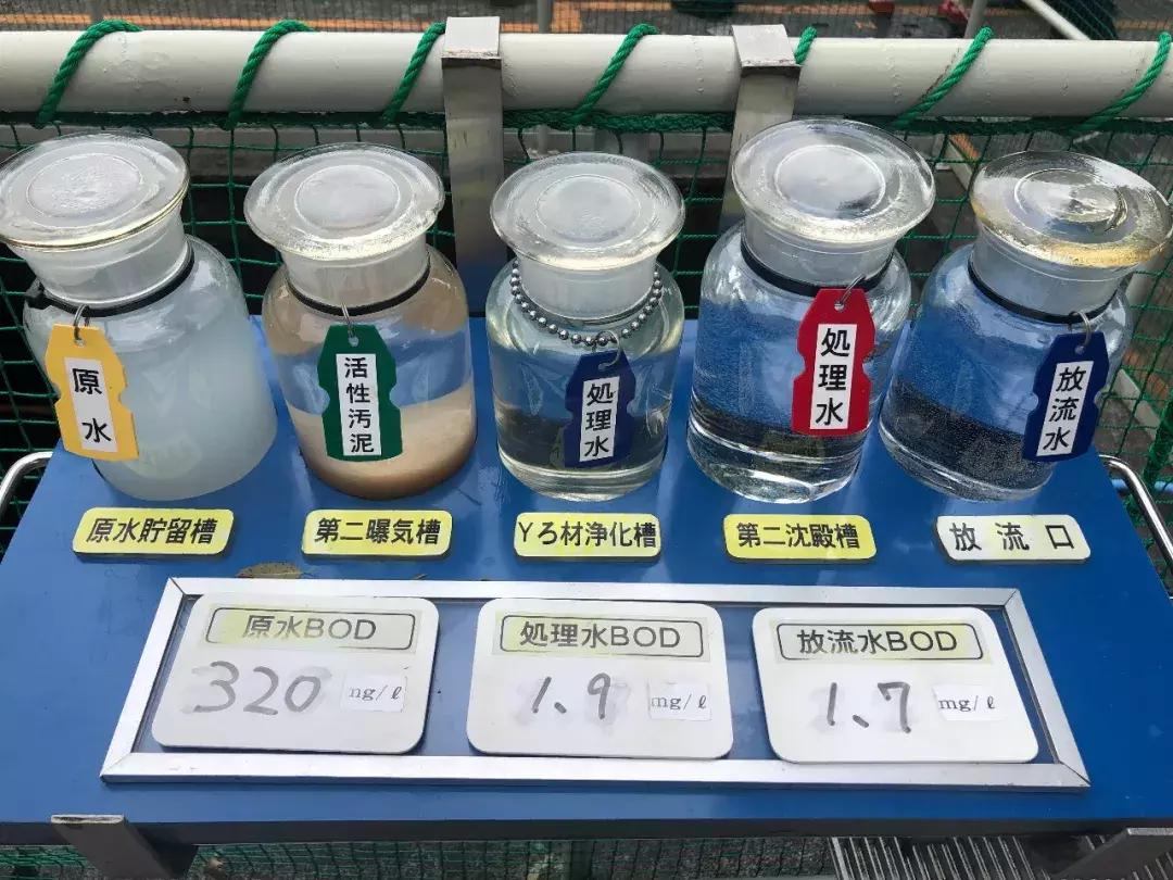 养乐多的质感好到怀疑人生,带你13秒了解养乐多