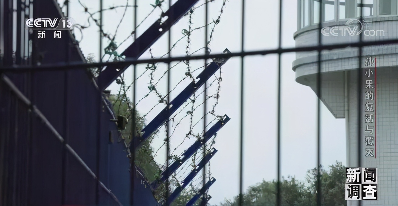 社会与法孙小果,社会评论孙小果