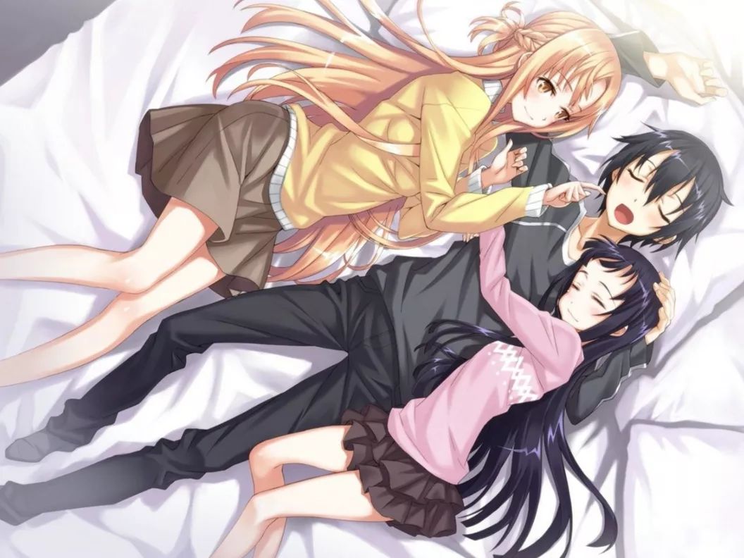 刀剑神域动漫素材,刀剑神域第3季樱花动漫