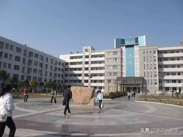 江苏南京的十大名校,南京百年小学排名
