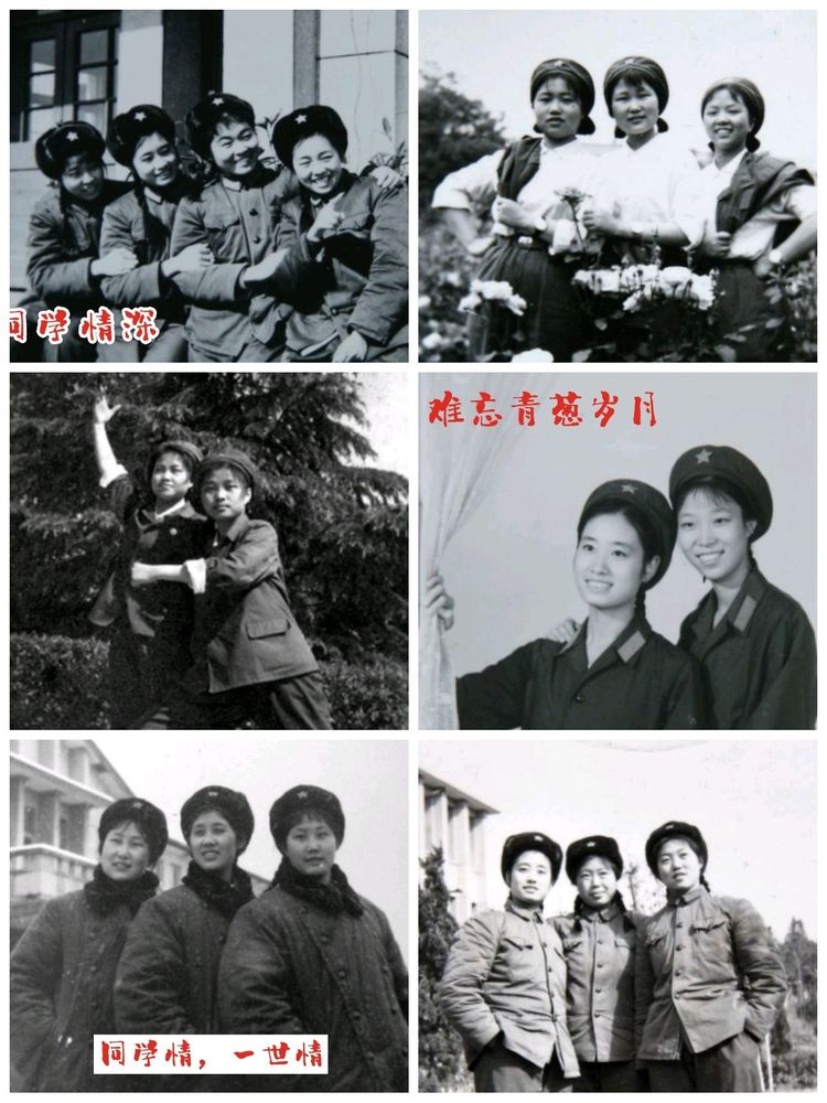 岁月不老我们不散全文,岁月不老我们不散什么意思