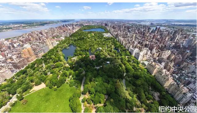 复仇者联盟花园,复仇者联盟集体战斗