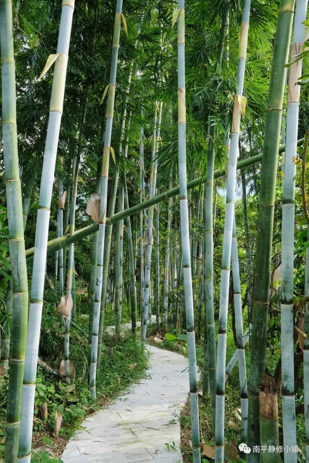 在大山深处幽静绝美的村落,深藏大山中的村落