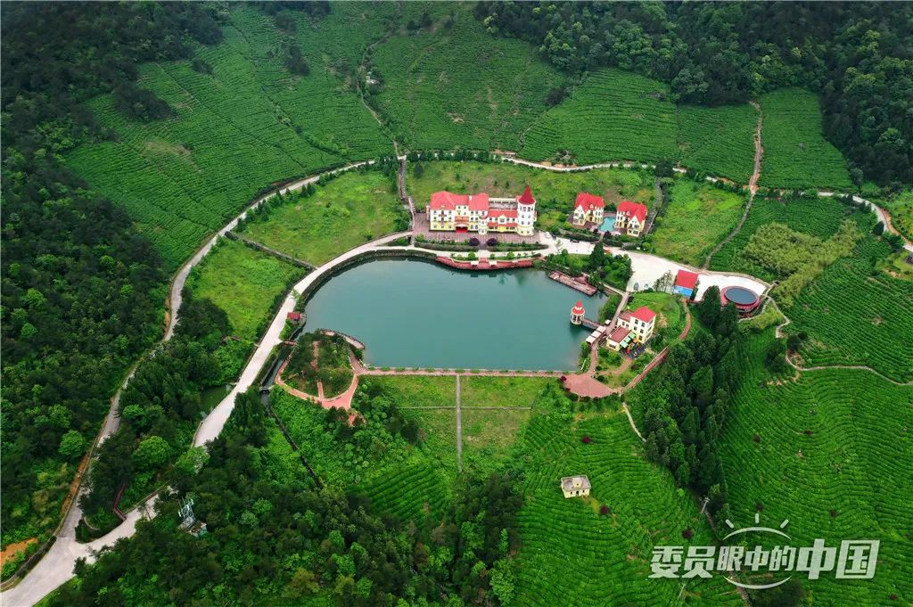 美丽中国中国篇,美丽中国双碳有我主题范文800字