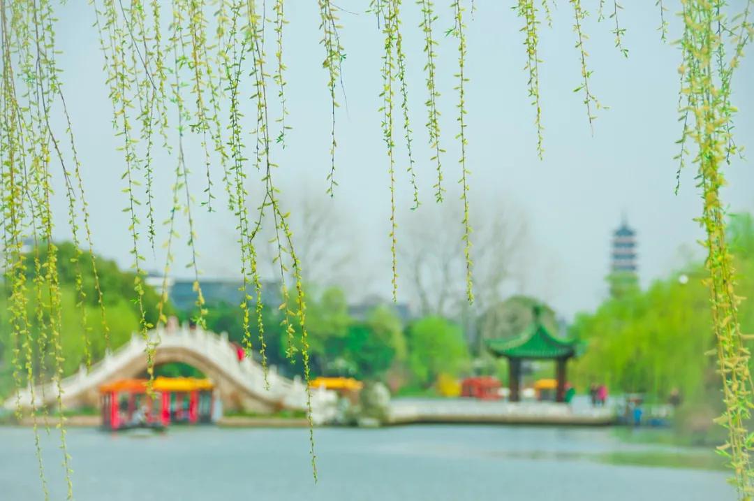 免费半价怎么点,免费半价的噱头