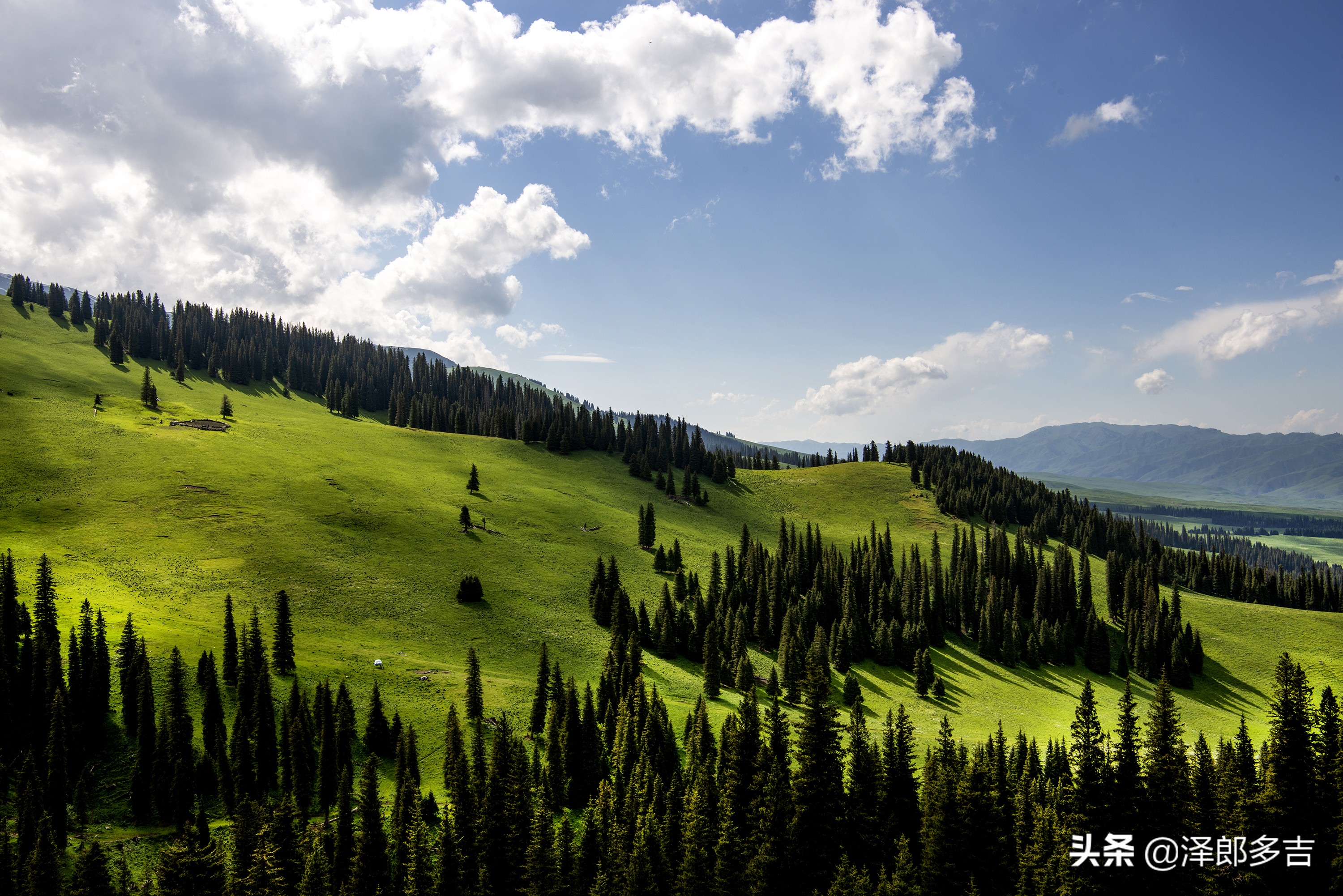 喻林斌摄影作品欣赏：“醉镜”那拉提