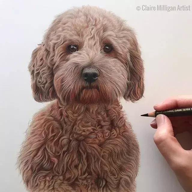 画得比实物好看,彩铅怎么样能画好看