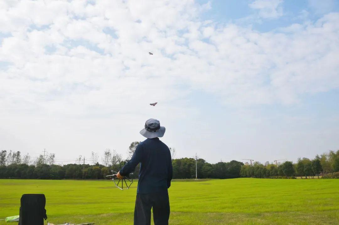 无风风筝能飞吗,无风也能飞的风筝怎么做视频