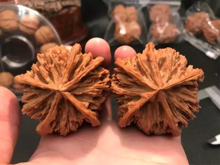 文玩核桃如何通过蒸煮包浆上色,文玩核桃包浆初期是什么样子的