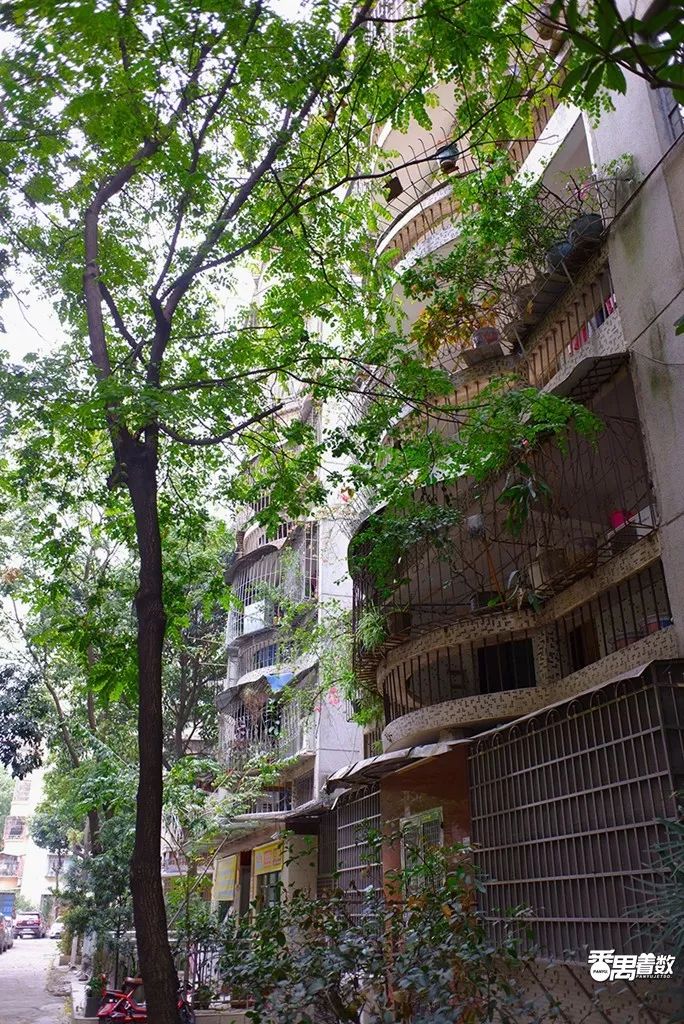 住在番禺的人的感受,在番禺住哪里比较好