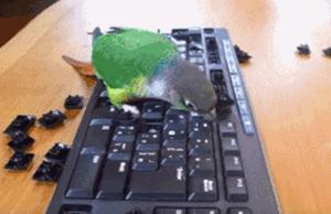 搞笑gif图原谅我不厚道的笑了,搞笑gif段子实在是猝不及防啊