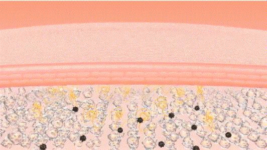 王鸥露背照片,王鸥最新露背写真