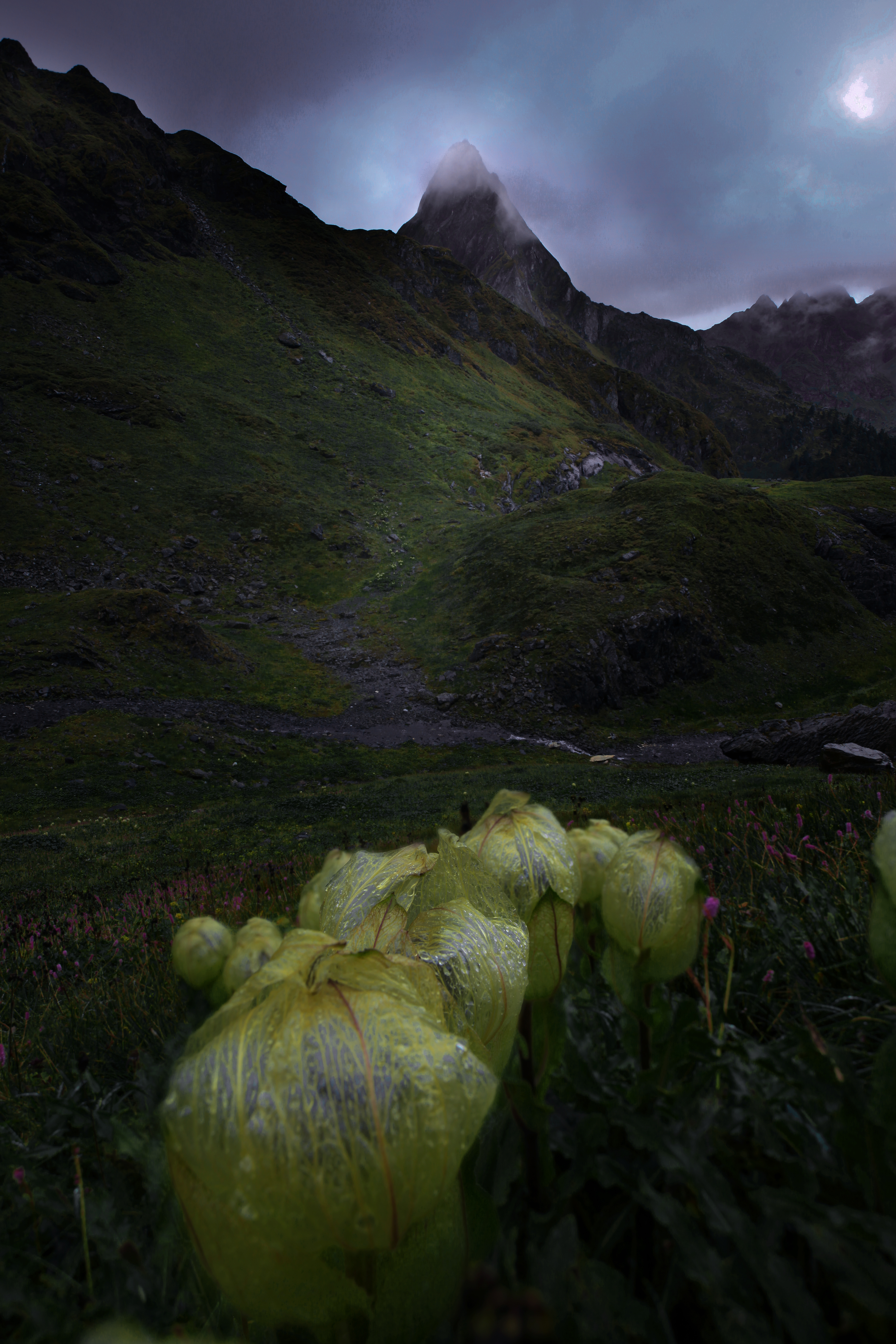他告诉我，人有多大胆，远方就有多远