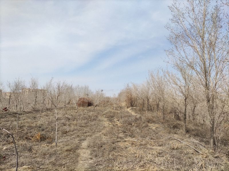 乌鲁木齐免费玩的地方运动场地,乌鲁木齐游玩适合烧烤的地方