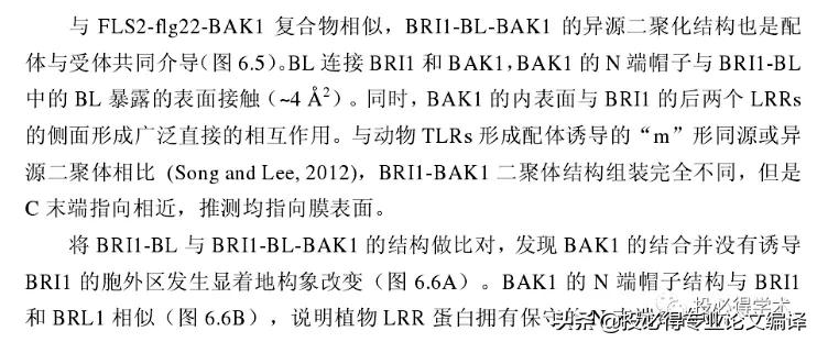 一文解决中英参考文献混排问题,一文搞定英语写作技巧