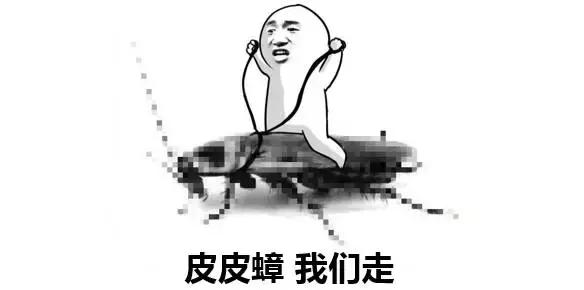 断头不死，马桶里重生，南方蟑螂凭什么把北方汉子吓出猪叫