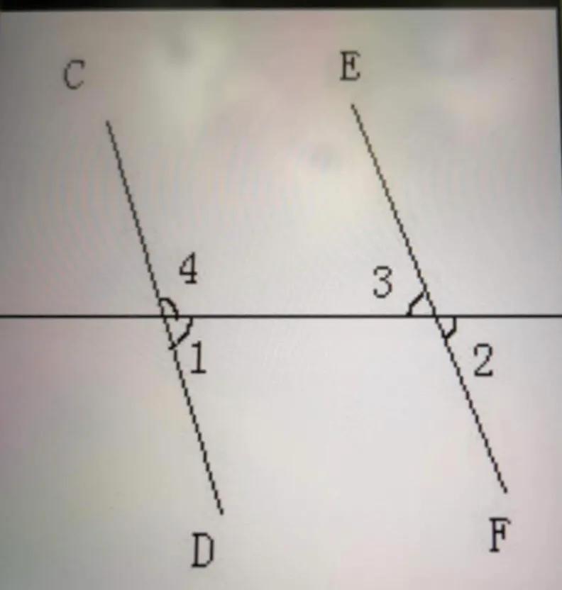 生活中的平行线,生活中的哲理随笔