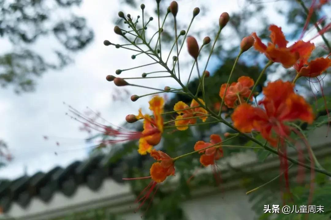 淘金山绿道晚上图片,淘金山绿道深圳罗湖网红