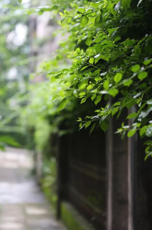 古诗词里纳凉,诗词夏季乘凉