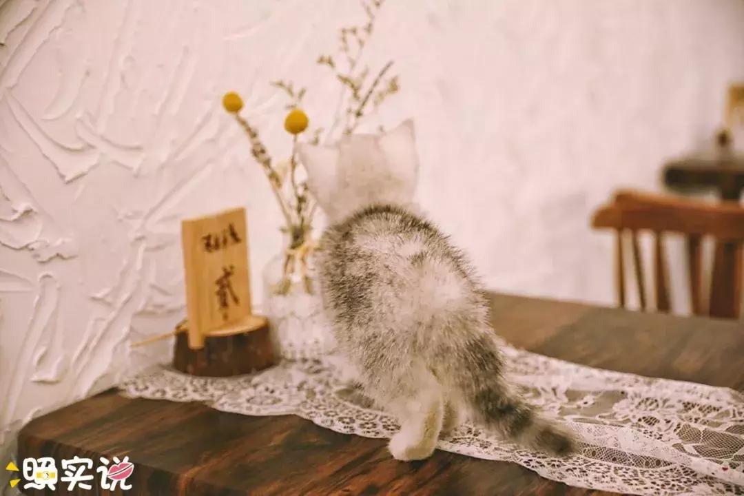 港真,港真产品怎么样