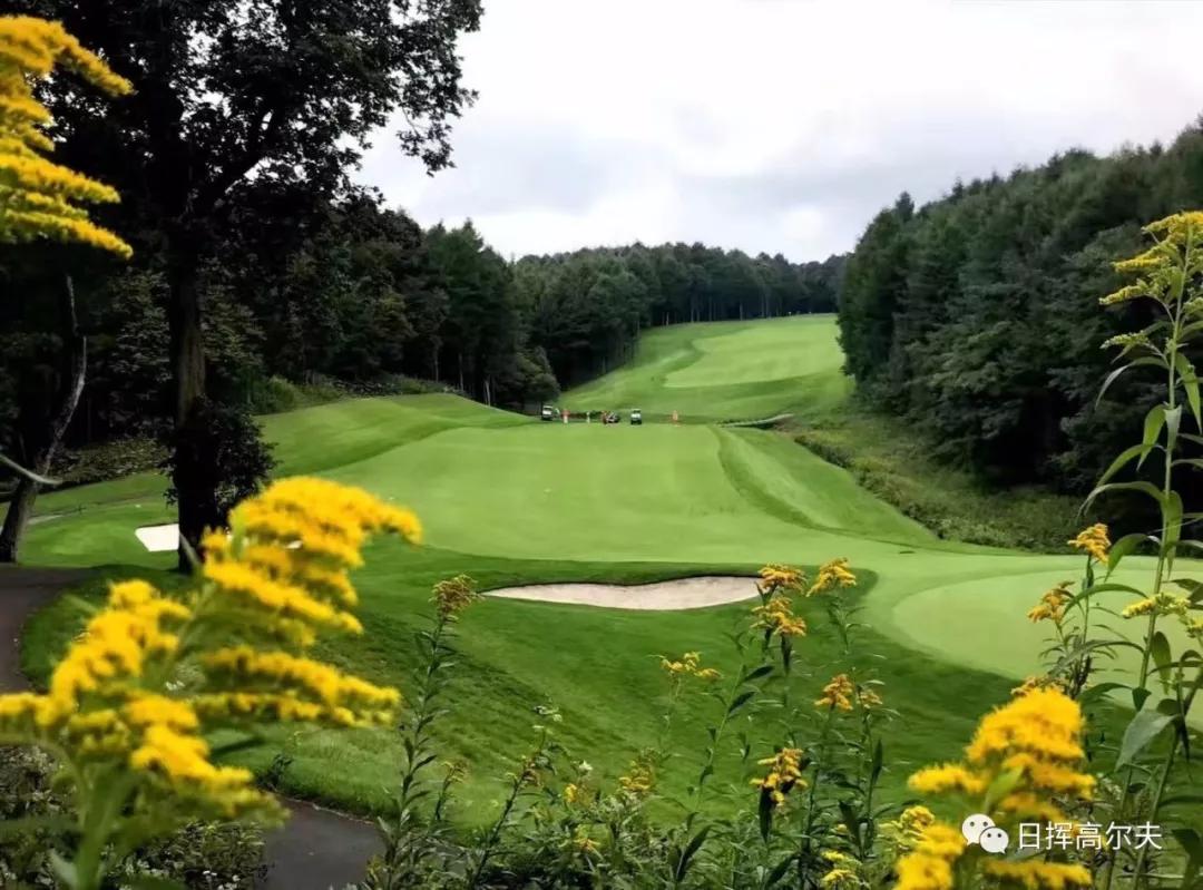 高尔夫球基本知识,高尔夫球的知识