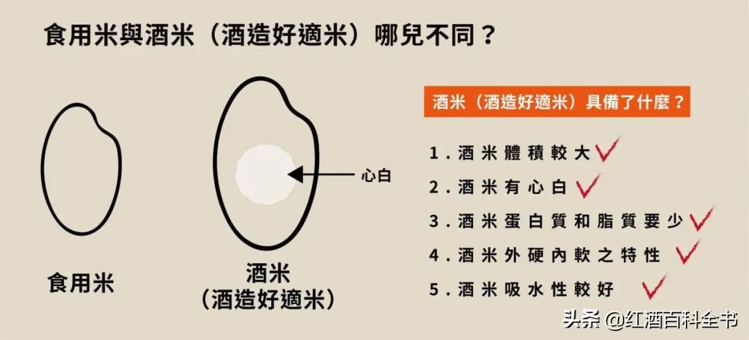 史上最全清酒,清酒解释