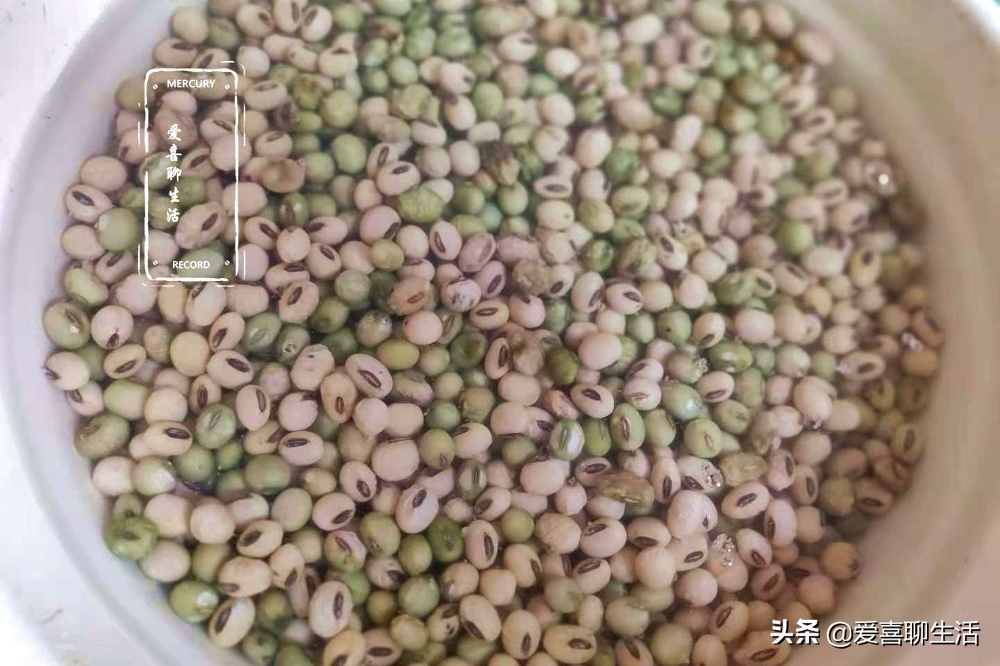 南方笋做法大全家常,小孩子喜欢吃的笋家常做法