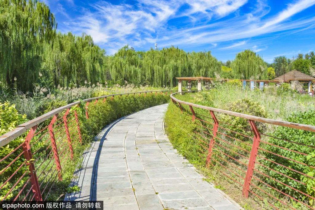 绿皮火车公园打卡景点,各种各样的免费公园