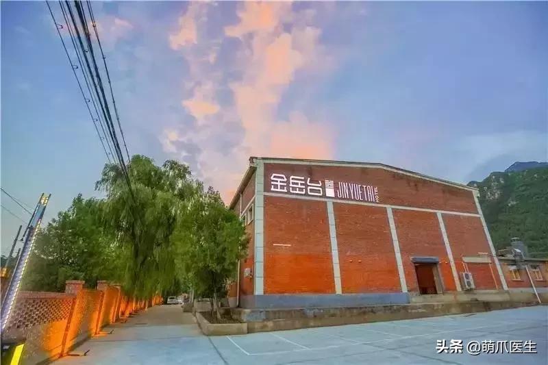 上海可带宠物入住的酒店推荐,怎么选宠物友好酒店房间