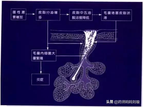 疮疡病的克星,清创宝典