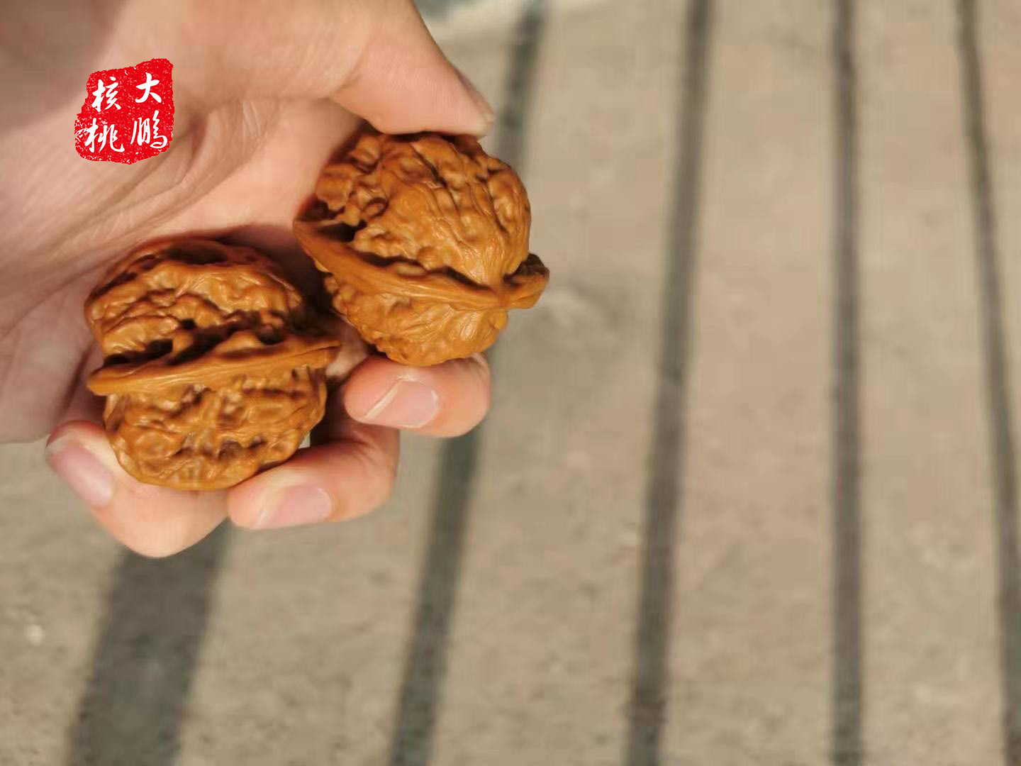 文玩核桃的蒂用什么封住,文玩核桃蒂怎么处理