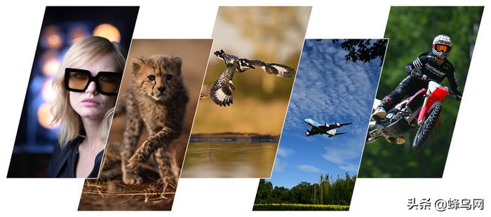 尼康z9与z72的区别,尼康z9z8区别大吗