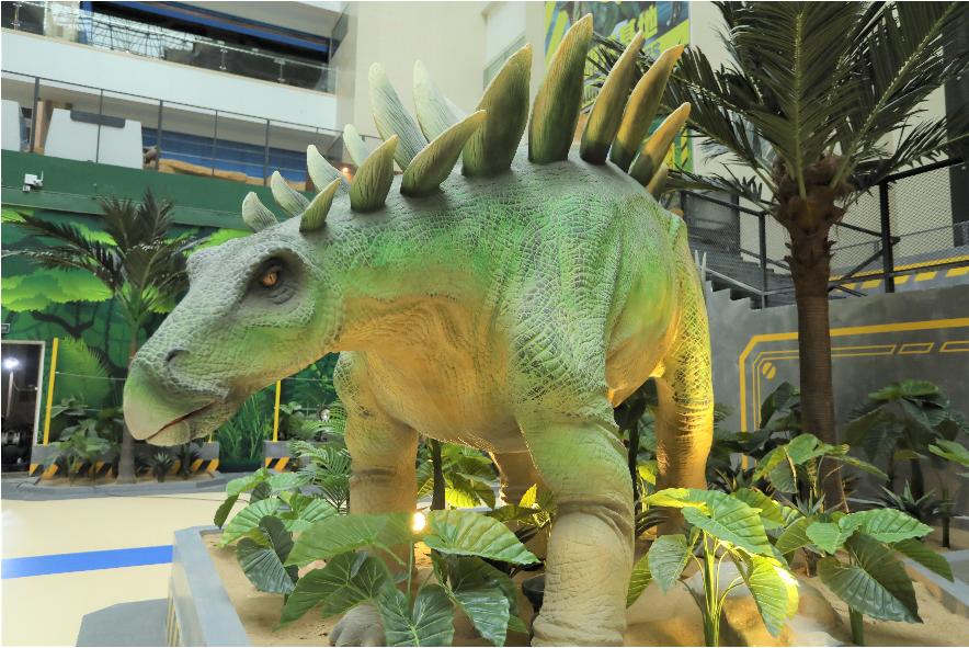 鍗佸ぇ鐑棬浜插瓙涔愬洯娣卞湷,鏂ヨ祫涓や嚎鐨勬父涔愬洯