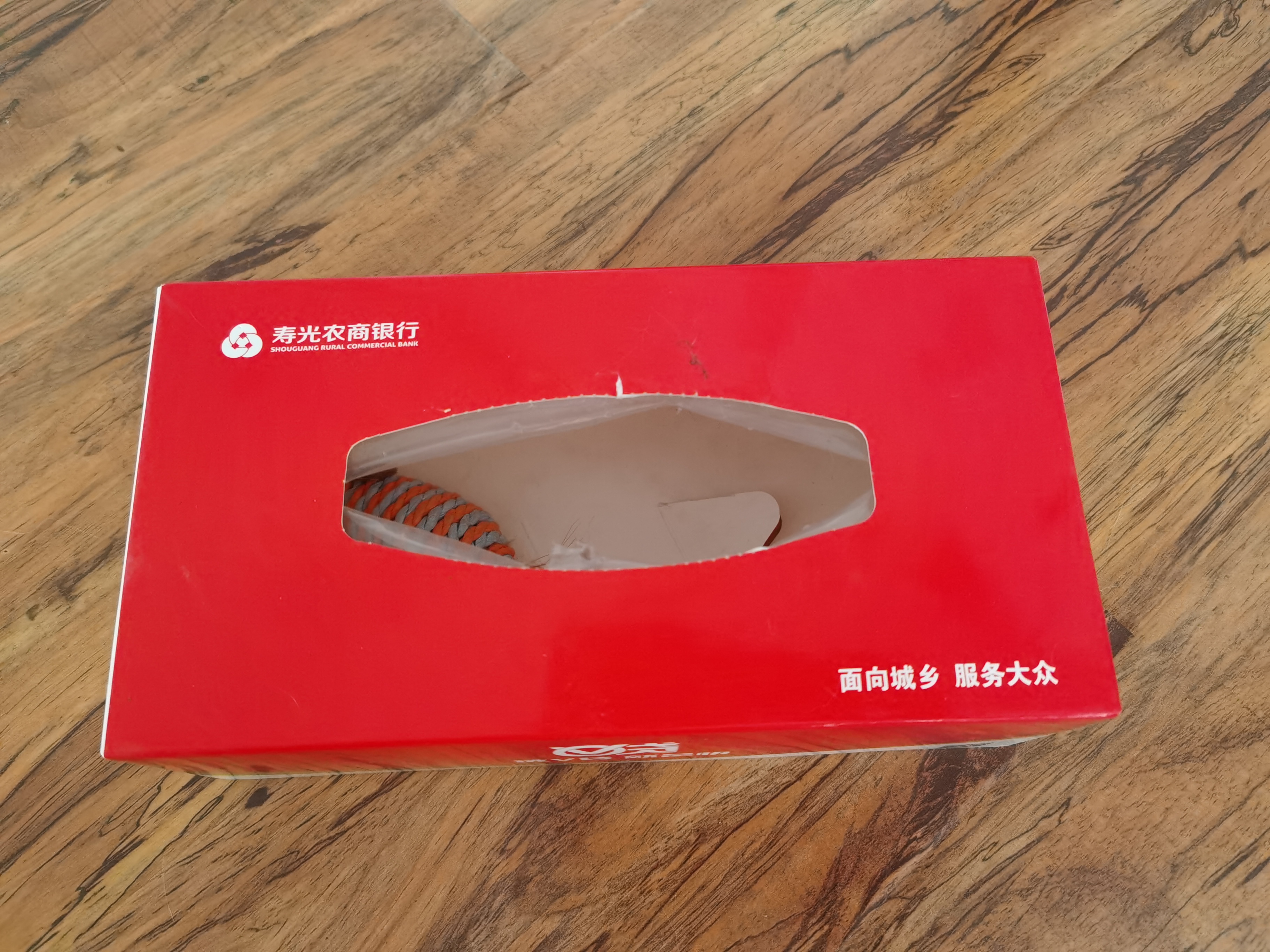 养猫必买物品 (养猫用品清单推荐)