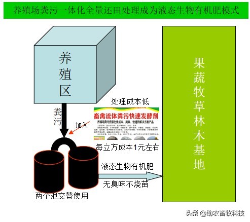 养殖场粪水应该如何处理,养殖场废水无害化处理方法