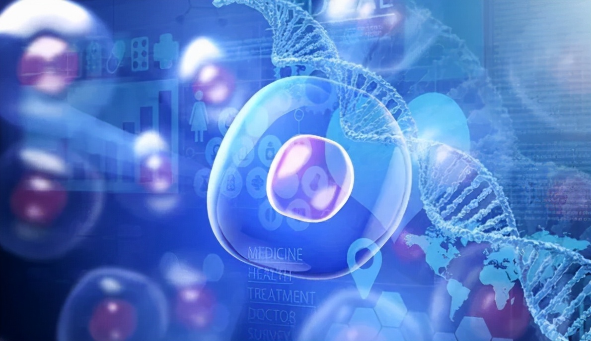 干细胞治疗心脏病效果怎么样,2020年中国干细胞治疗冠心病研究