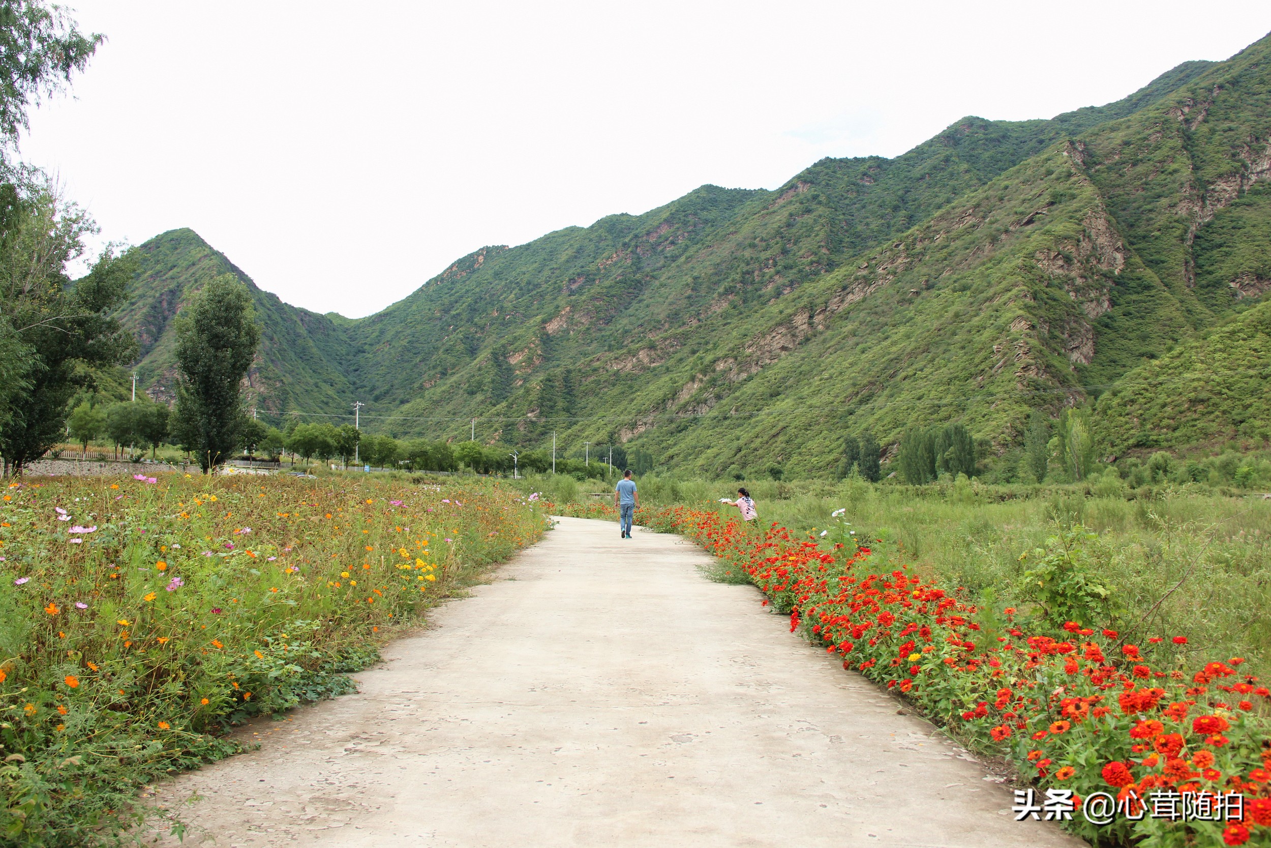 自驾白河湾,白河湾自然风景区自驾