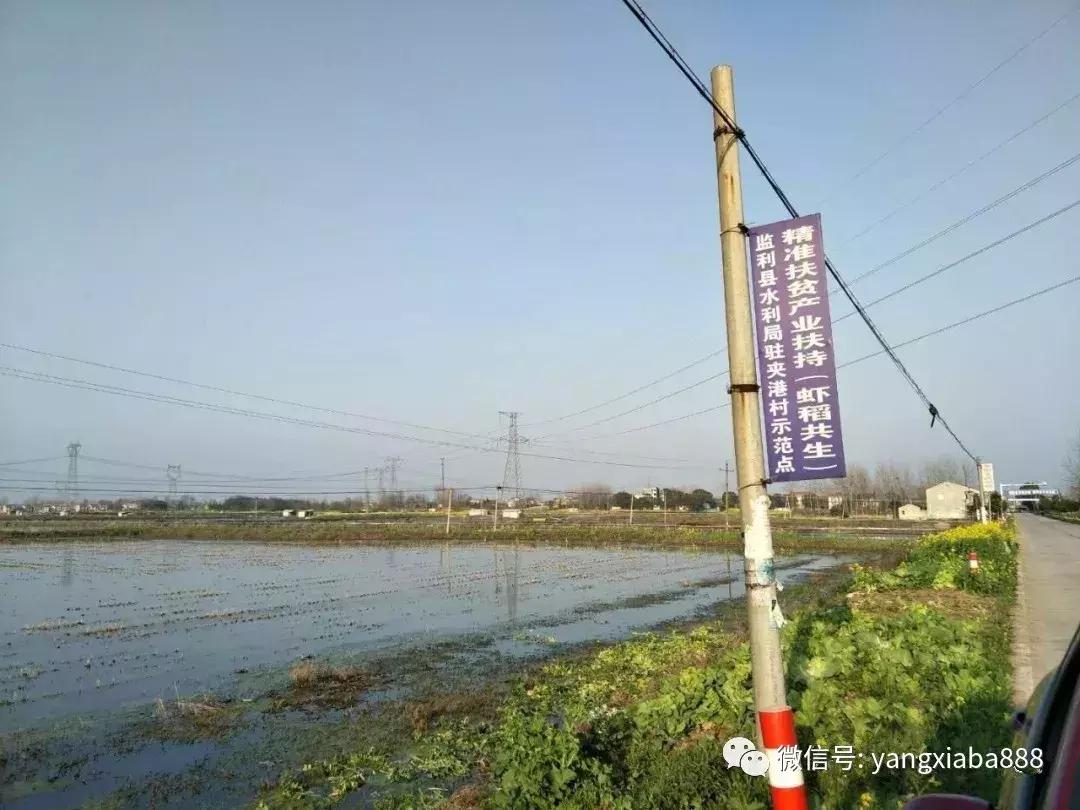 成功养虾“关键”：水质的养护与稳定调节！