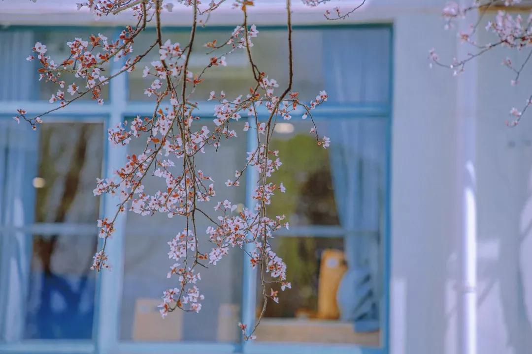 江苏省高校(六十六)苏州大学应用技术学院