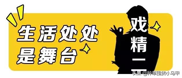 一招教你识别假代购,美国直邮代购是真是假