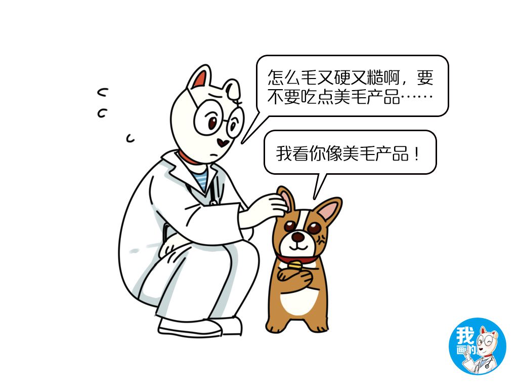 怎么样可以给狗狗美毛,狗狗美毛用什么比较好