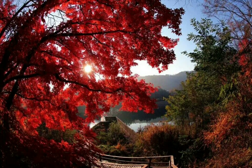 猴石国家森林公园的最佳旅游季节,猴石国家森林公园航拍