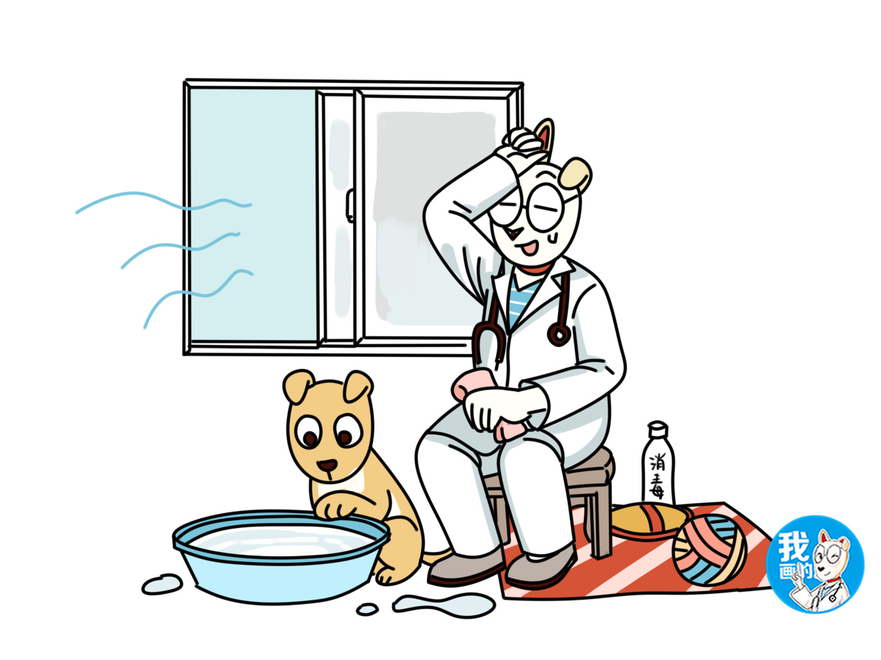 狗狗易患的疾病铲屎官养犬须知,狗狗得了细小喂了驱虫药