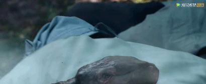 超大胆改编,不仅有大尺度,还让这妖精CP重出江湖