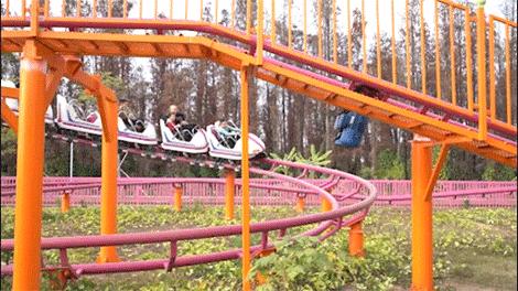 赏花海+机动游戏任玩+VR体验、5D电影等！还有财神爷派利是！