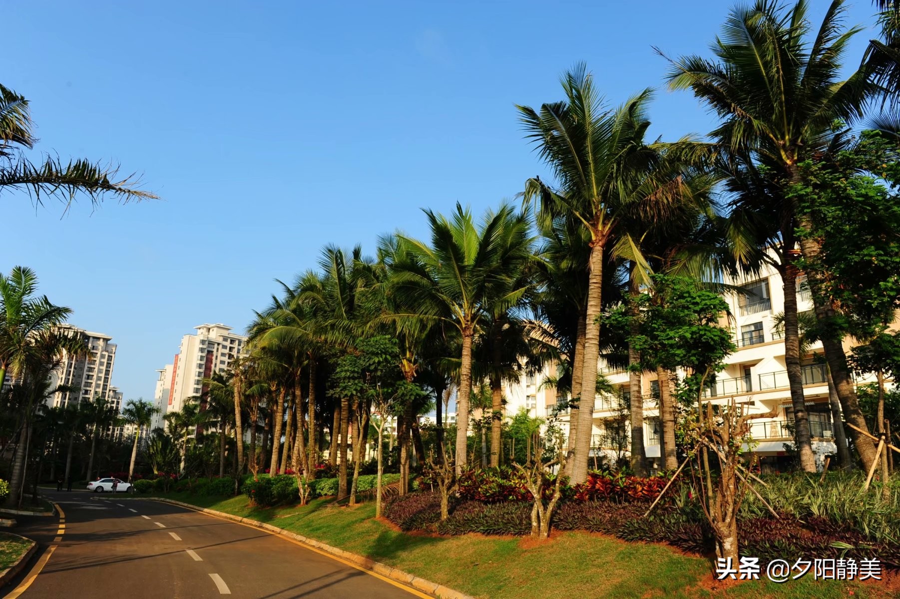 我的海南之旅全集,海南天赐上湾怎么样