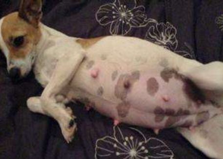 准备好迎接了吗英文翻译,准备好迎接除夕了吗